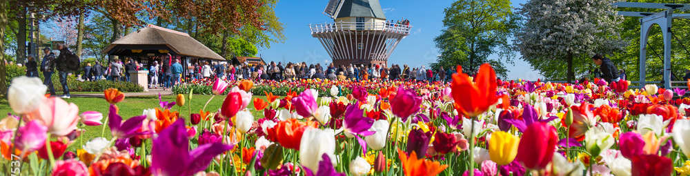 Keukenhof Adobe